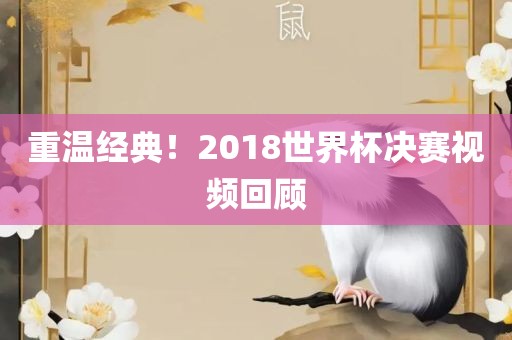 重温经典！2018世界杯决赛视频回顾