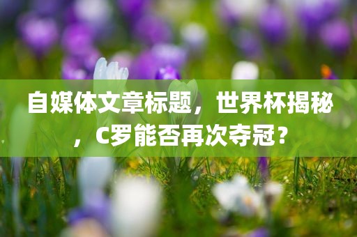 自媒体文章标题，世界杯揭秘，C罗能否再次夺冠？眉山市正发家政服务有限公司