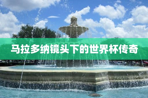 马拉多纳镜头下的世界杯传奇