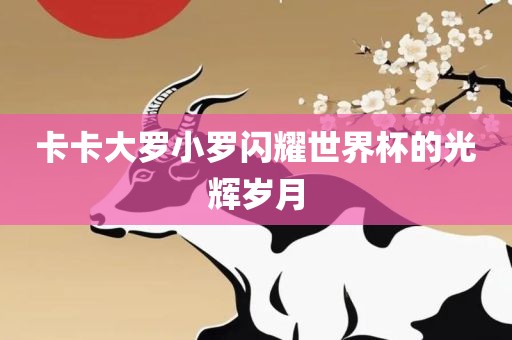 卡卡大罗小罗闪耀世界杯的光辉岁月眉山市正发家政服务有限公司