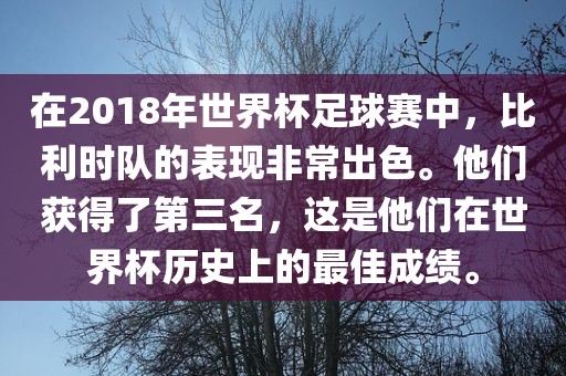 在2018年世界杯足球赛中，比利时队的表现非常出色。他们获得了第三名，这是他们在世界杯历史上的最佳成绩。眉山市正发家政服务有限公司