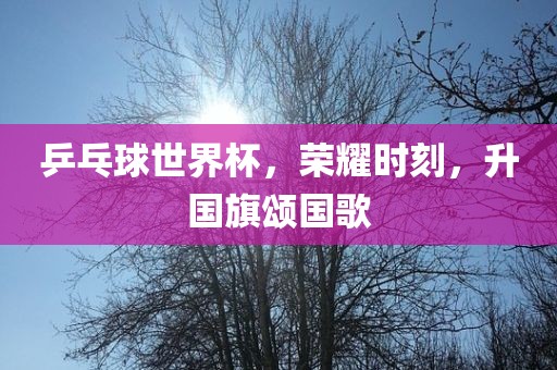 乒乓球世界杯，荣耀时刻，升国旗颂国歌