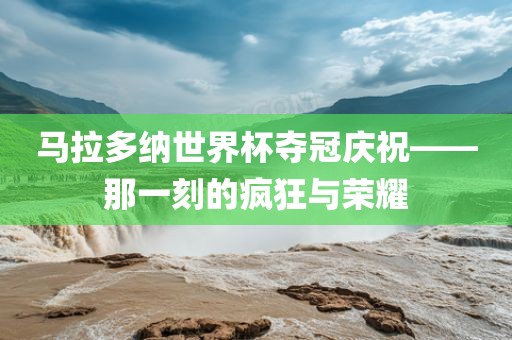 马拉多纳世界杯夺冠庆祝——那一刻的疯狂与荣耀眉山市正发家政服务有限公司
