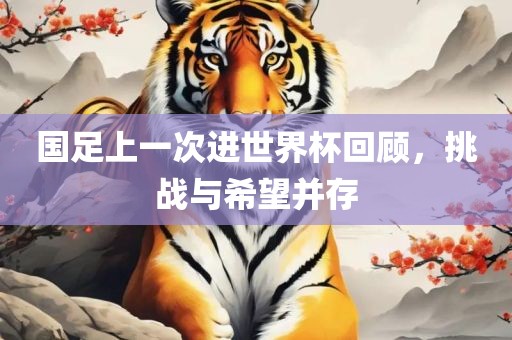 国足上一次进世界杯回顾，挑战与希望并存