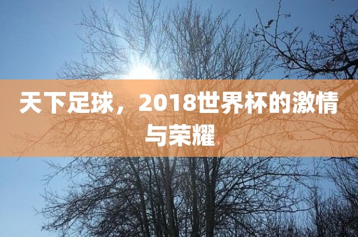 天下足球，2018世界杯的激情与荣耀
