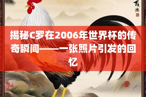 揭秘C罗在2006年世界杯的传奇瞬间——一张照片引发的回忆眉山市正发家政服务有限公司