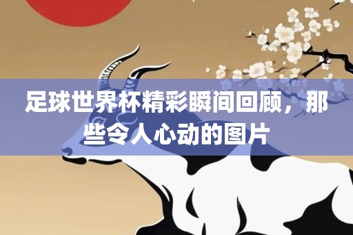 足球世界杯精彩瞬间回顾，那些令人心动的图片眉山市正发家政服务有限公司