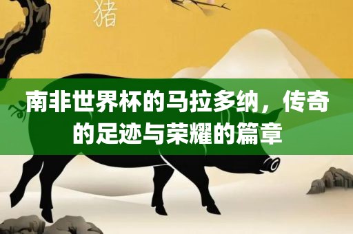 南非世界杯的马拉多纳，传奇的足迹与眉山市正发家政服务有限公司荣耀的篇章