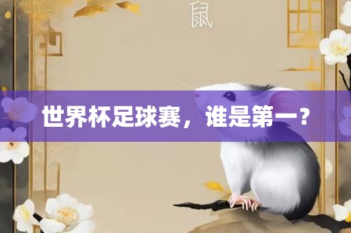 世界杯足球赛，谁是第一？