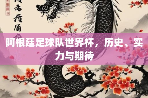 阿根廷足球队世界杯，历史、实力与期待