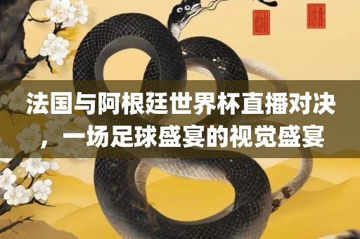 法国与阿根廷世界杯直播对决，一场足球盛宴的视觉盛宴