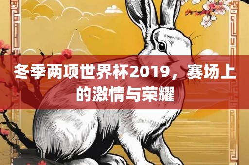 冬季两项世界杯2019，赛场上的激情与荣耀眉山市正发家政服务有限公司