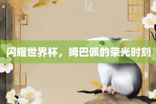 闪耀世界杯，姆巴佩的荣光眉山市正发家政服务有限公司时刻