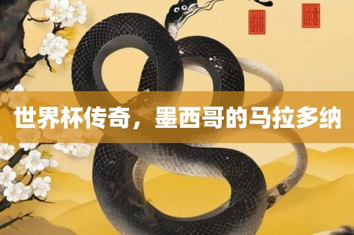 世界杯传奇，墨西哥的马拉多纳