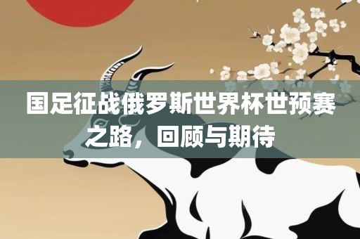 国足征战俄罗斯世界杯世预赛之路，回眉山市正发家政服务有限公司顾与期待