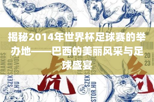 揭秘2014年世界杯足球赛的举办地——巴西的美丽风采与足球盛宴眉山市正发家政服务有限公司