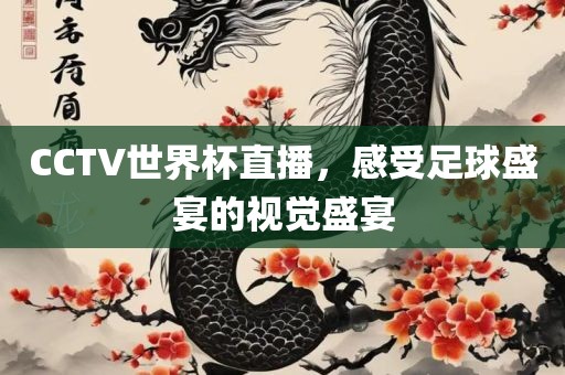 CCTV世界杯直播，感受足球盛宴的视觉盛宴
