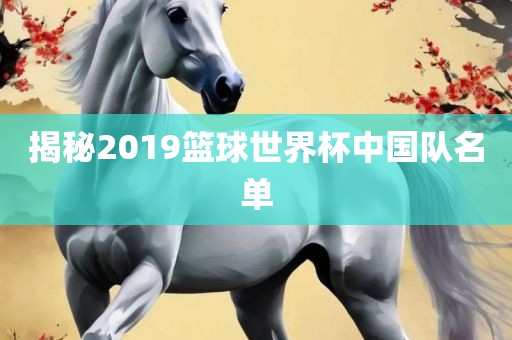 揭秘2019篮球世界杯中国队名单