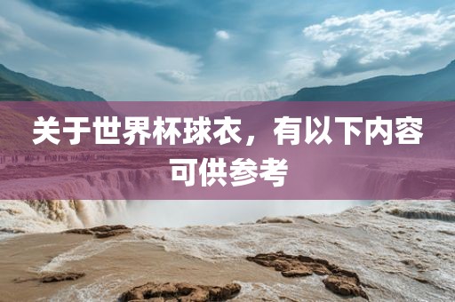 关于世界杯球衣，有以下内容眉山市正发家政服务有限公司可供参考