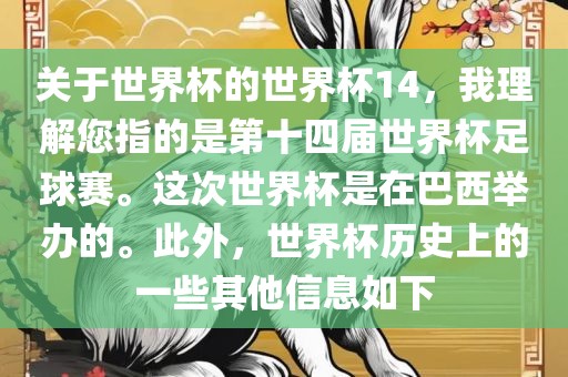关于世界杯的世界杯14，我理解您指的是第十四届世界杯足球赛。这次世界杯是在巴西举办的。此外，世界杯历史上的一些其他信息如下