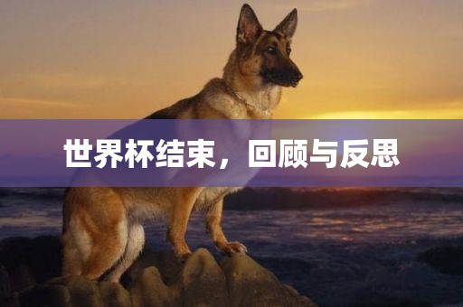 世界杯结束，回顾与反思