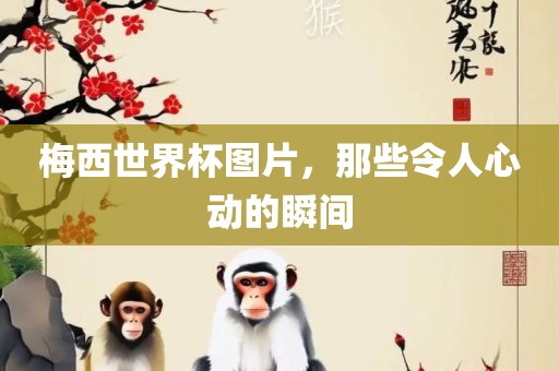 梅西世界杯图片，那些令人心动的瞬间