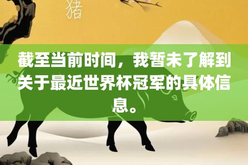 截至当前时间，我暂未了解到关于最近世界杯冠军的具体信息。