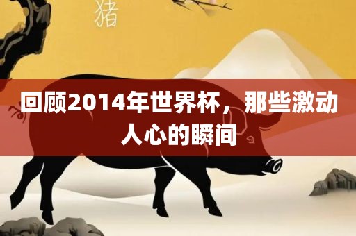 回顾2014年世界杯，那些激动人心的瞬间