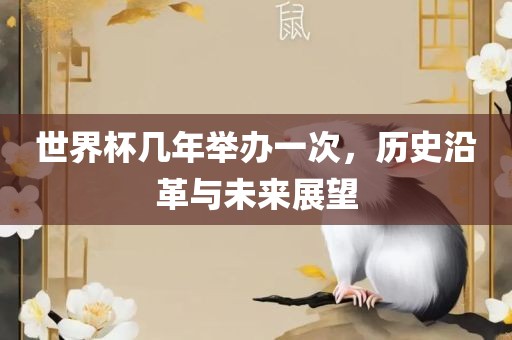 世界杯几年举办一次，历史沿革与未来展望