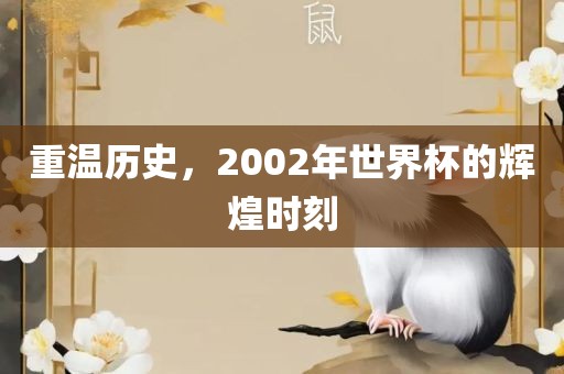重温历史，2002年世界杯的辉煌时刻