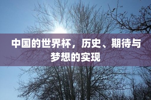 中国的世界杯，历史、期待与梦想的实现