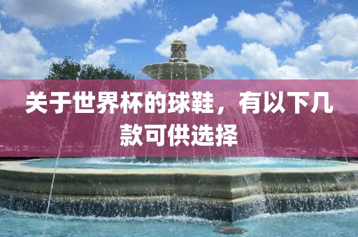 关于世界杯的球鞋，有以下几款可供选择