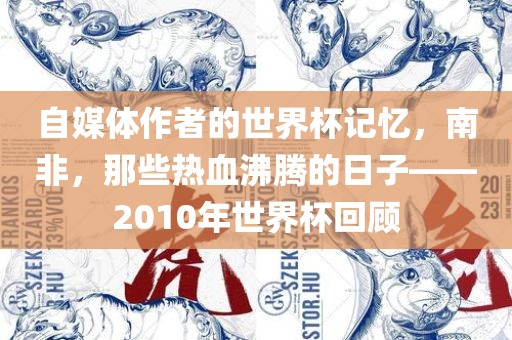 自媒体作者的世界杯记忆，南非，那些热血沸腾的日子——2010年世界杯回顾