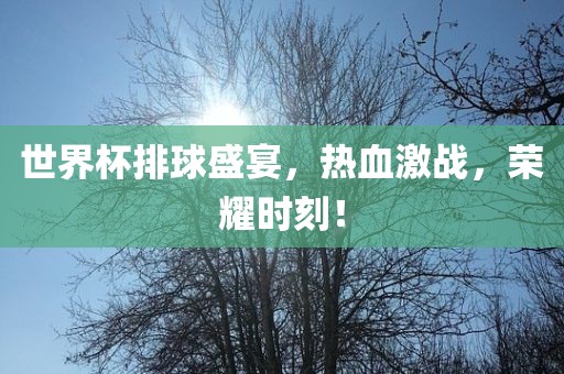 世界杯排球盛宴，热血激战，荣耀时刻！