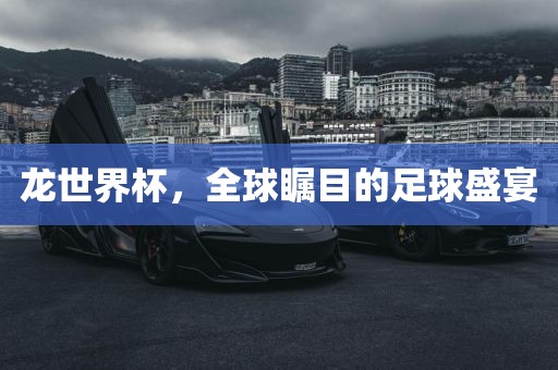 龙世界杯，全球瞩目的足球盛宴