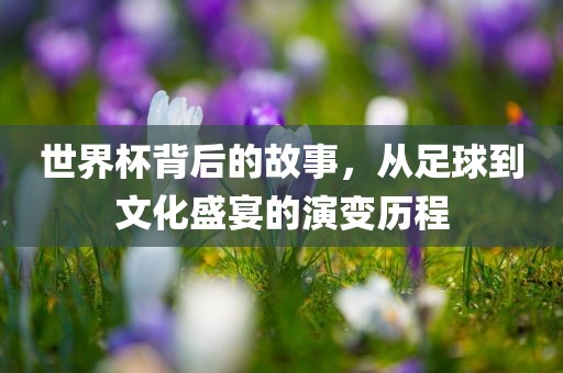 世界杯背后的故事，从足球到文化盛宴的演变历程