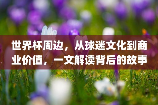 世界杯周边，从球迷文化到商业价值，一文解读背后的故事眉山市正发家政服务有限公司