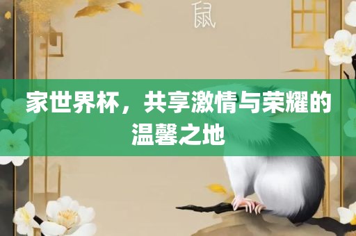 家世界杯，共享激情与荣耀的温馨之地