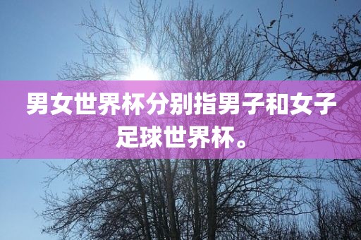 男女世界杯分别指男子和女子足球世界杯。