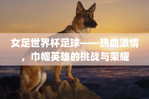 女足世界杯足球——热血激情，巾帼英雄的挑战与荣耀