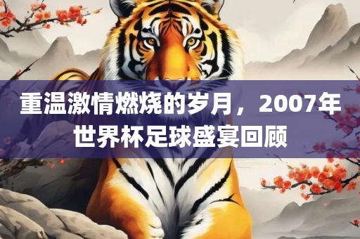 重温激情燃烧的岁月，2007年世界杯足球盛宴回顾