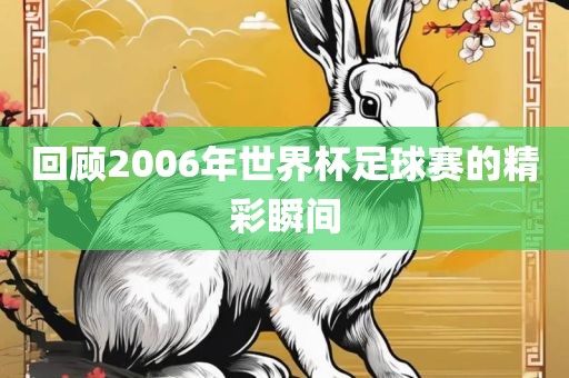 回顾2006年世界杯足球赛的精彩瞬间