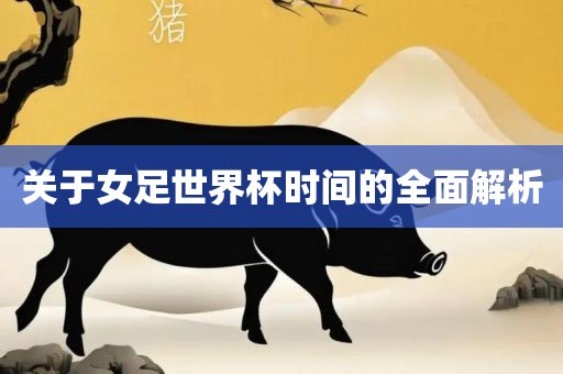 关于女足世界杯时间的全面解析