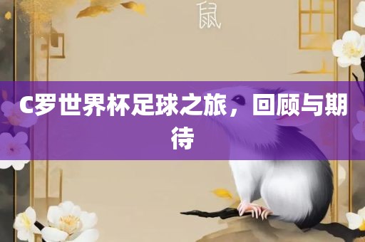 C罗世界杯足球之旅，回顾与期待