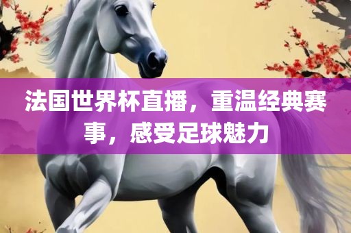 法国世界杯直播，重温经典赛事，感受足球魅力