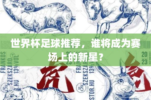 世界杯足球推荐，谁将成为赛场上的新星？