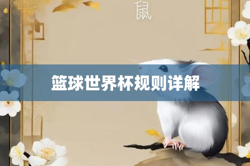 篮球世界杯规则详解