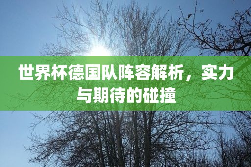 世界杯德国队阵容解析，实力与期待的碰撞