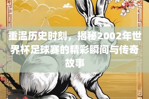 重温历史时刻，揭秘2002年世界杯足球赛的精彩瞬间与传奇故事