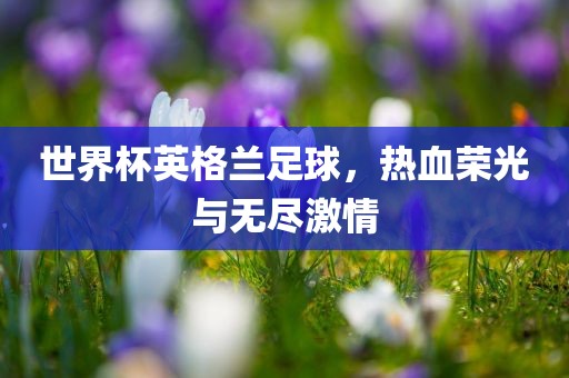世界杯英格兰足球，热血荣光与无尽激情